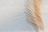 Design file showing modern circular pattern and gold palm leaf detail on white background