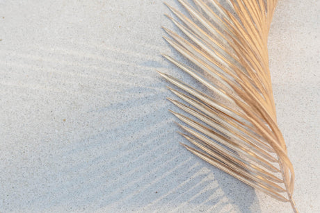 Design file showing modern circular pattern and gold palm leaf detail on white background