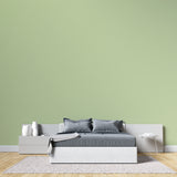 Light green minimalist wallpaper in a contemporary dining room with modern furniture