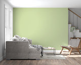 Minimalist green wallpaper creating depth in a modern hallway space