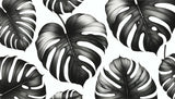 Black and White Monstera Leaf pattern design file showing detailed botanical illustration