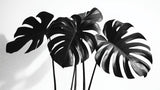 Black and white Monstera leaf wallpaper design file showing detailed tropical pattern