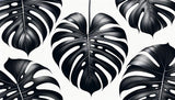 Black and white Monstera leaf wallpaper design file showing detailed tropical pattern