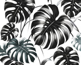 Black and white Monstera leaf wallpaper design file showing intricate botanical pattern