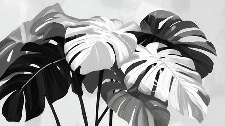 Black and white Monstera leaf wallpaper design file showing detailed tropical pattern and rich contrasts