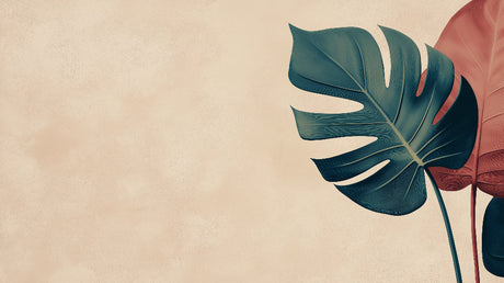 Monstera leaf wallpaper design file showing teal and terracotta botanical pattern