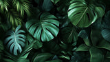 Tropical Monstera wallpaper design file showing detailed dark green leaves pattern