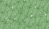 Monstera leaf wallpaper design file showing detailed tropical pattern and rich green tones