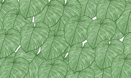 Monstera leaf wallpaper design file showing detailed tropical pattern and rich green tones