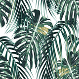 Botanical wallpaper featuring monstera leaves in stylish home office space
