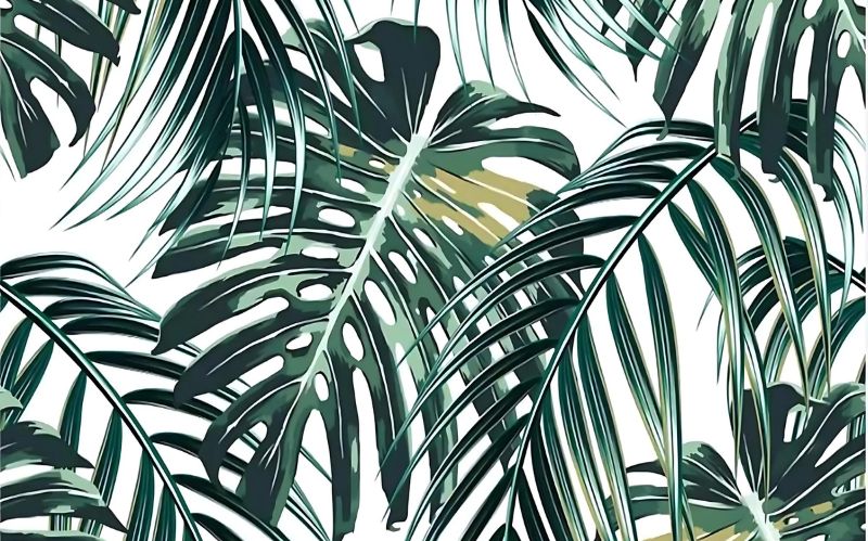 Monstera leaf wallpaper design file showing detailed tropical pattern and rich green tones