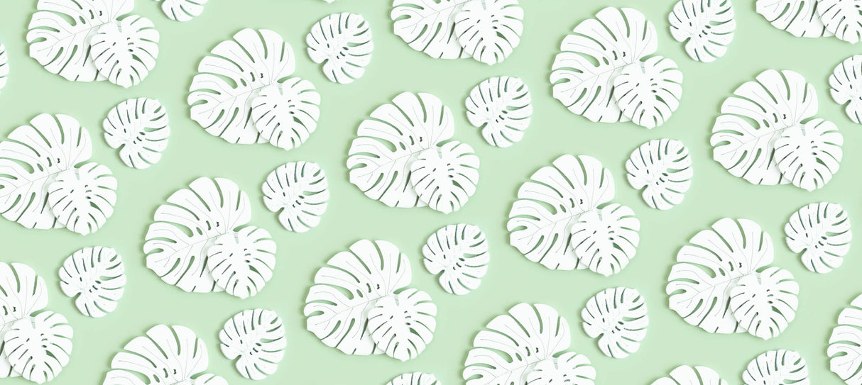Design file showing white Monstera leaf pattern on mint green background