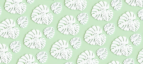 Design file showing white Monstera leaf pattern on mint green background