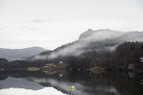 Mountain lake design file showing detailed misty forest and reflective water pattern