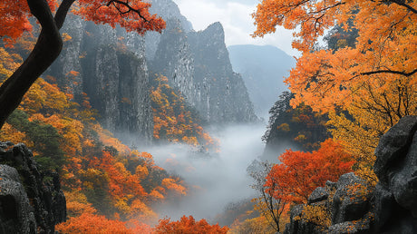 Mountain landscape wallpaper design file showing full misty valley pattern with fall foliage and granite cliffs