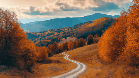 Mountain landscape wallpaper creating depth in a modern living room with warm autumn colors and winding path