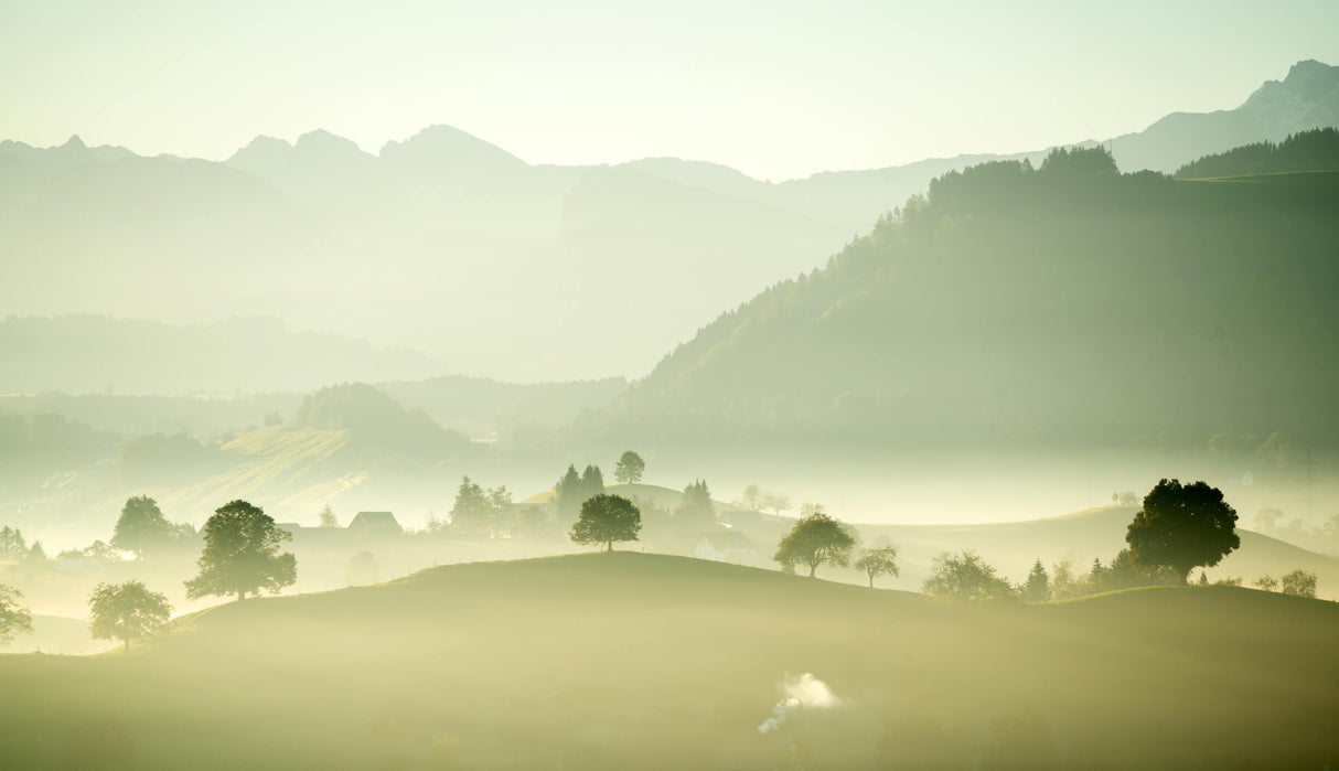 Mountain landscape wallpaper design file showing full misty forest pattern and soft morning light