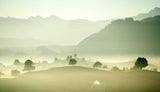 Mountain landscape wallpaper design file showing full misty forest pattern and soft morning light