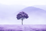 Design file of purple mountain landscape wallpaper showing misty peaks and lone tree