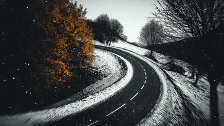 Winter Mural Wallpaper  Snowy Road with Golden Autumn Leaves - Detailed wallpaper pattern view