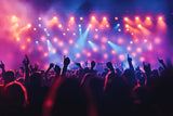 Concert lights and crowd scene design file showing full pattern with vibrant spotlights and silhouettes