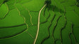 Nature wall mural with aerial rice terraces pattern shown in a modern living room, creating a striking green accent wall