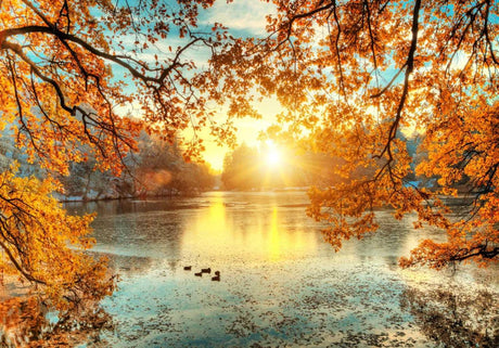 Autumn lake sunset wallpaper design file showing detailed nature scene with mirror-like water reflections