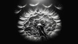 Black and white dandelion wallpaper design file showing intricate botanical details