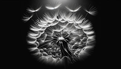 Black and white dandelion wallpaper design file showing intricate botanical details