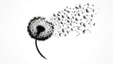 Black dandelion seeds design file showing intricate botanical pattern on white background