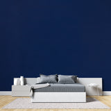 Master bedroom with navy blue accent wall creating a cozy, peaceful atmosphere