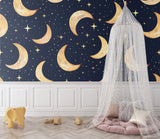 Stars and moon mural transforming a master bedroom into a peaceful sanctuary