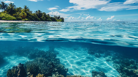 Ocean paradise wallpaper design file showing detailed split view of underwater coral reef and surface