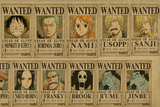 Gamer mural wallpaper  One Piece Pirates Wanted Poster Gallery - Wallpaper application example