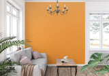 Orange solid color wallpaper in dining room with natural light