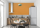 Terracotta accent wall in home office with modern decor