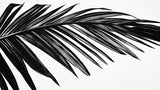 Black and white palm leaf wallpaper design file showing detailed botanical pattern