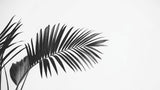 Black and white palm leaf wallpaper design file showing detailed botanical pattern and crisp contrast