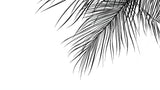 Black and white palm leaf wallpaper design file showing detailed botanical pattern