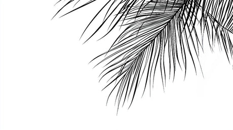 Black and white palm leaf wallpaper design file showing detailed botanical pattern