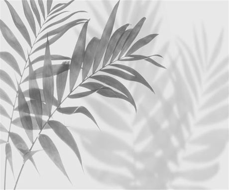 Palm leaf wallpaper design file showing detailed monochrome shadow pattern