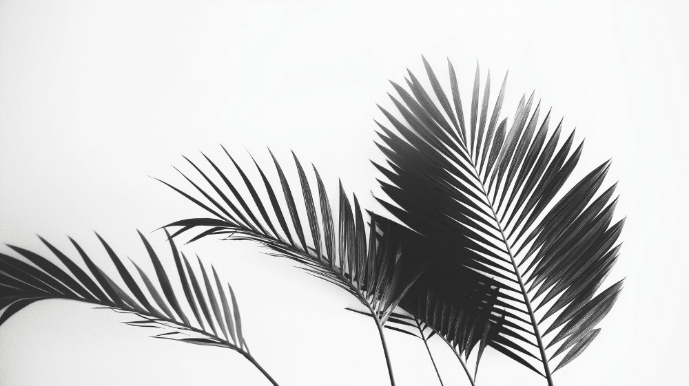 Black and white tropical palm leaves design file showing detailed botanical pattern