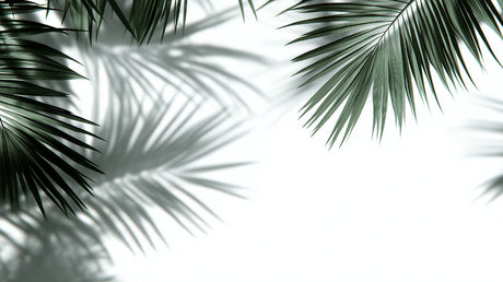 Palm leaves wallpaper design file showing detailed botanical pattern with shadow effects on white background