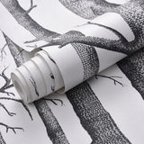 Forest Mural Wallpaper | Black and White Birch Trees Design