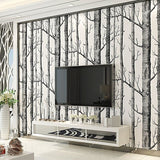 Forest Mural Wallpaper | Black and White Birch Trees Design