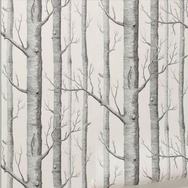 Forest Mural Wallpaper | Black and White Birch Trees Design