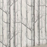 Forest Mural Wallpaper | Black and White Birch Trees Design