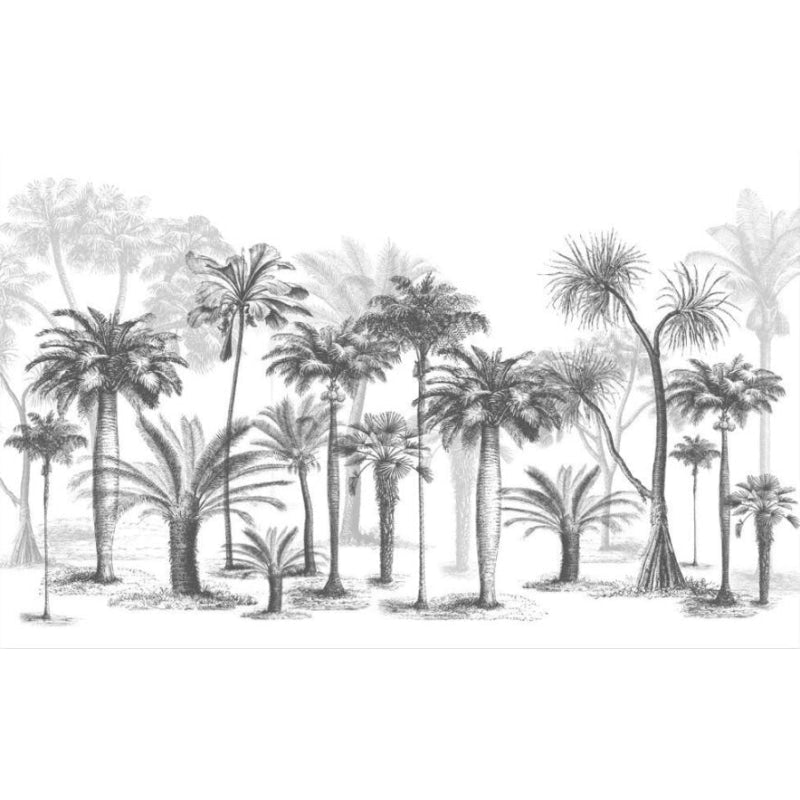 Forest Mural Wallpaper | Black and White Tree Silhouettes