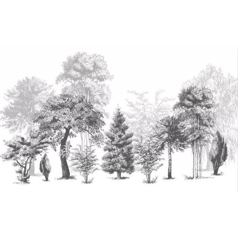 Forest Mural Wallpaper | Black and White Tree Silhouettes