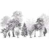 Forest Mural Wallpaper | Black and White Tree Silhouettes